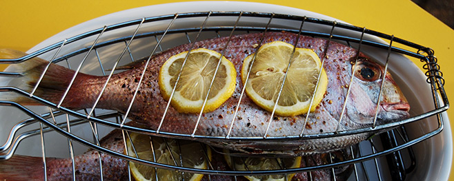 Fisch-Zange-zum-Grillen
