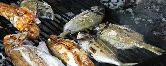 Fisch-richtig-grillen