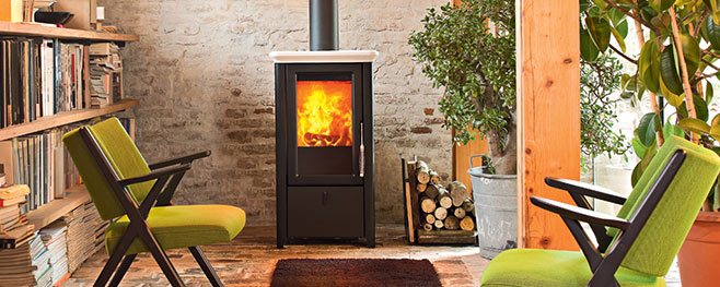 Sansiveria-perfekt-fuer-Kamin