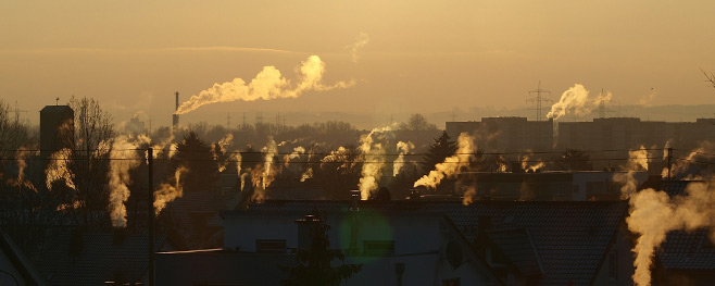 qualm-bei-feuchtem-kaminholz