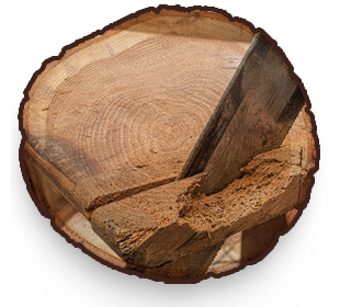 Holz: Holzwurmschäden