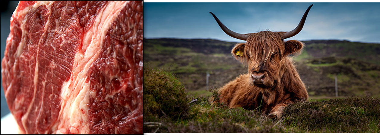 das richtige Fleisch