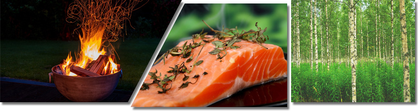 Bildfolge mit brennender Feuerschale, geräucherten Lachs und einem finnischen Birkenwald
