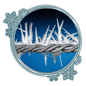 Bildung der Eiskristalle von der Mitte heraus