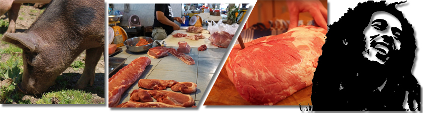 Bildfolge das richtige Stück Schweinefleisch wählen