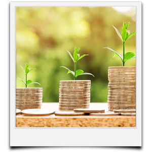 unterschiedliche Ausgaben