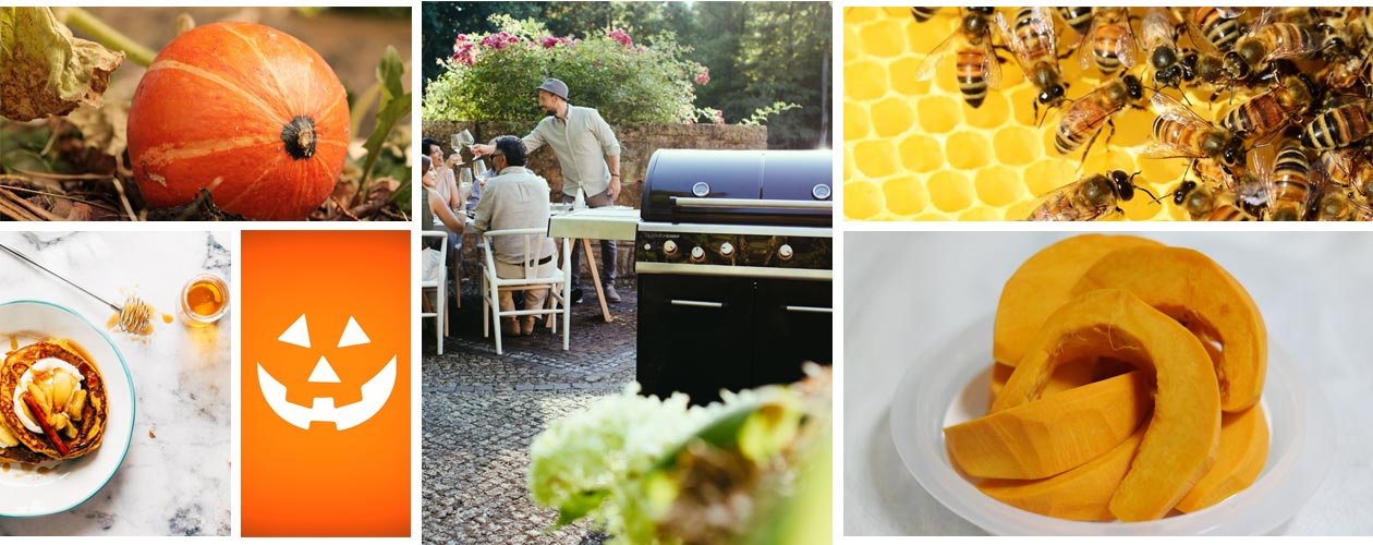 Kürbis-Dessert vom Grill