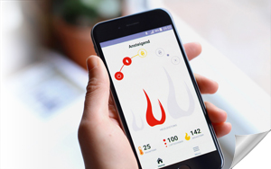 S-Thermatik Neo Handy App