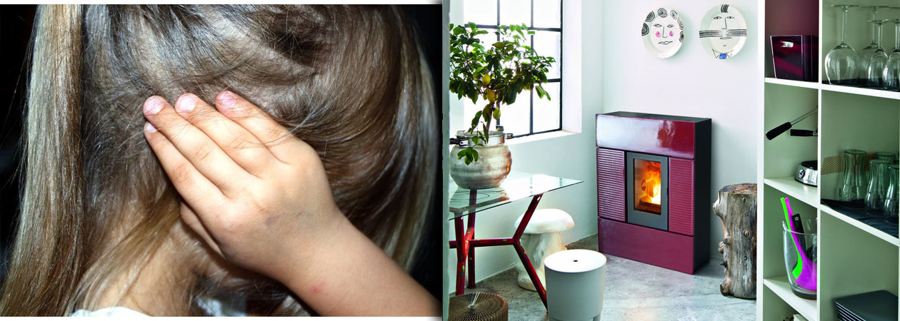 Probleme mit dem MCZ Pelletofen - Geräuschkulisse