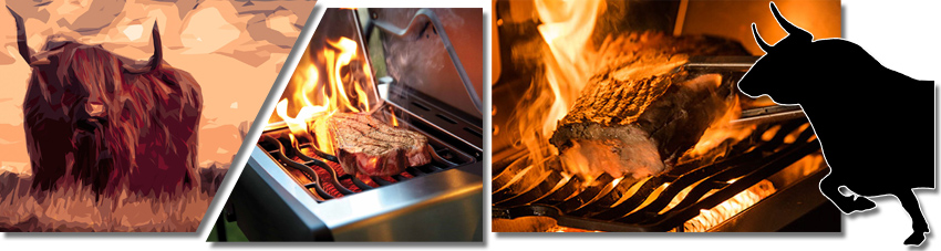 Bildkollage Rindfleisch auf Sizzle Zone grillen