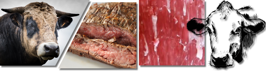 Collage diverser Fotos mit einem Bullen, zubereitetem Flank-Steak und ner Fleischmaserung im Rohzustand