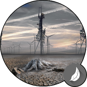 Waldsterben durch Industrie