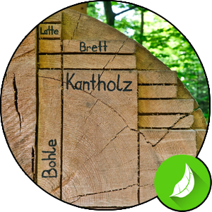 Brennstoff Holz - Querschnitt eines Baumstammes der die optimale Ausnutzung für die Holzindustrie aufzeigt
