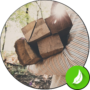 Kaminholz für den autarken Kaminofen holen