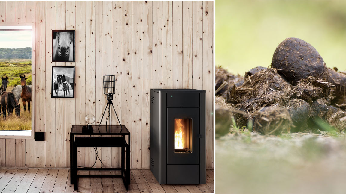 Pferdeäpfel-Pellets