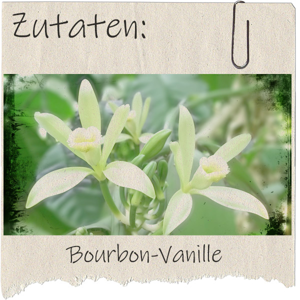 rausgerissenes Blatt Papier mit Foto einer Vanilleblüte