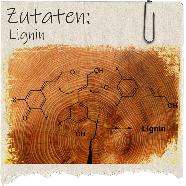 rausgerissenes Blatt Papier mit Foto einer Holzscheibe und Lignin-Formel