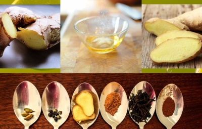 Titelbild Ingwer-Marinadenrezepte