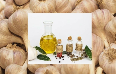 Titelbild-Knoblauchmarinaden-Rezepte