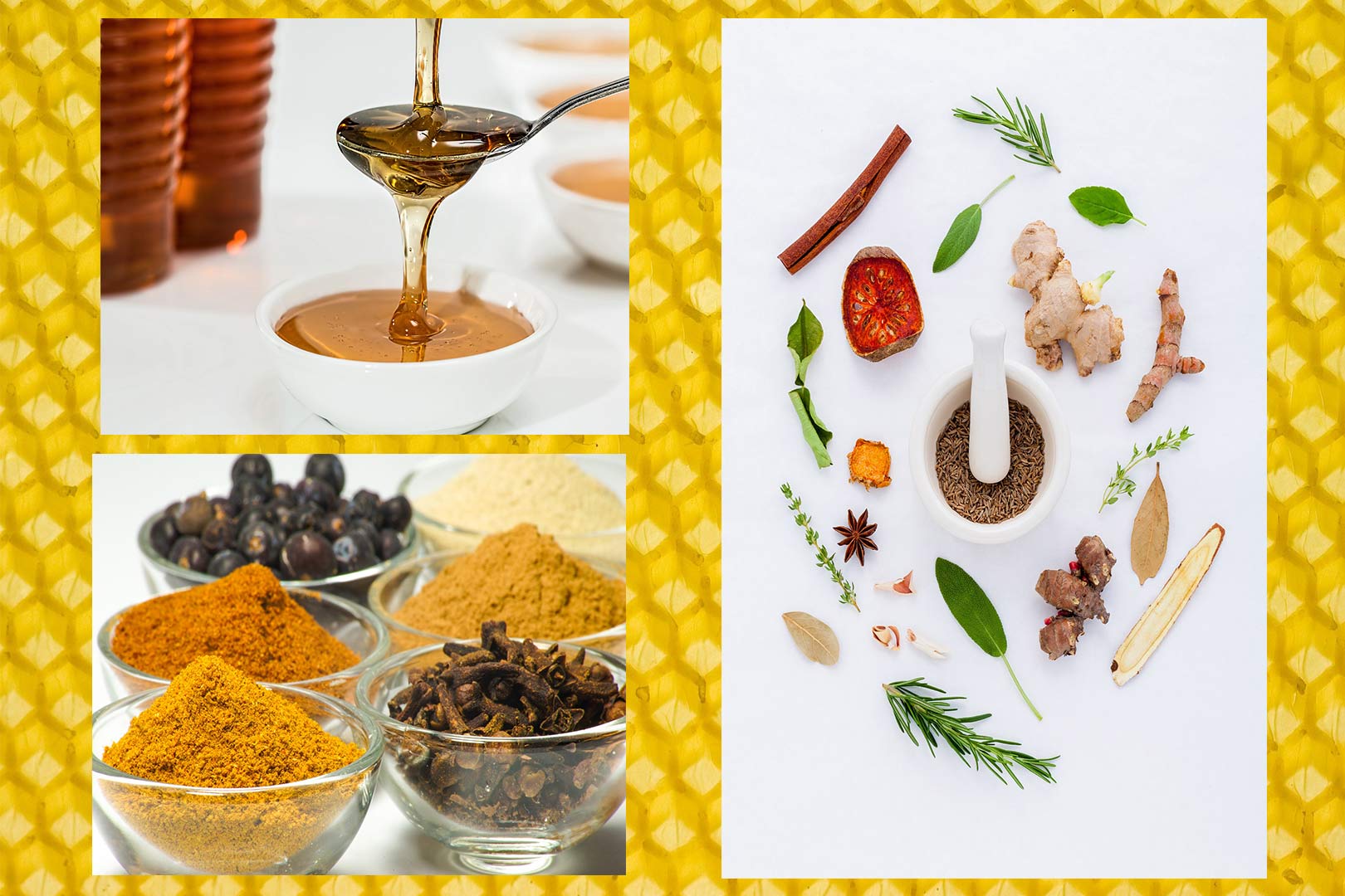 Titelbild Rezepte Honigmarinaden