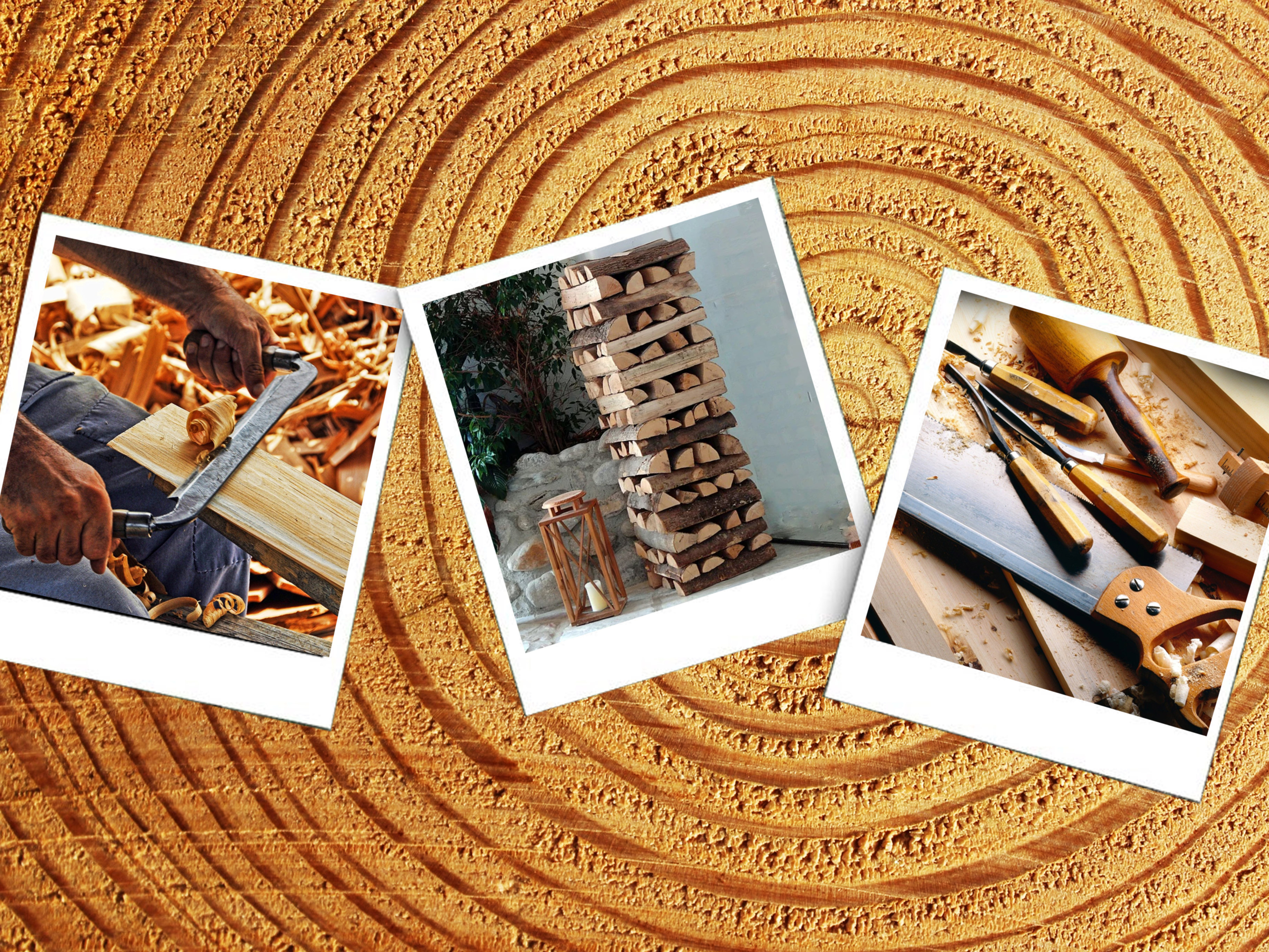 Titelbild Beitrag Kaminholzregal selber bauen