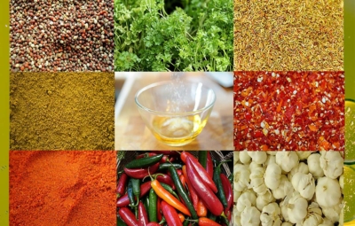 Titelbild Fleisch für den Grill marinieren