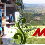 Collage mit einem Landschaftsbild von Treviso, dem Pelletofen Ego und dem Logo von MCZ