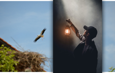 Rauchgefahr durch nistende Störche