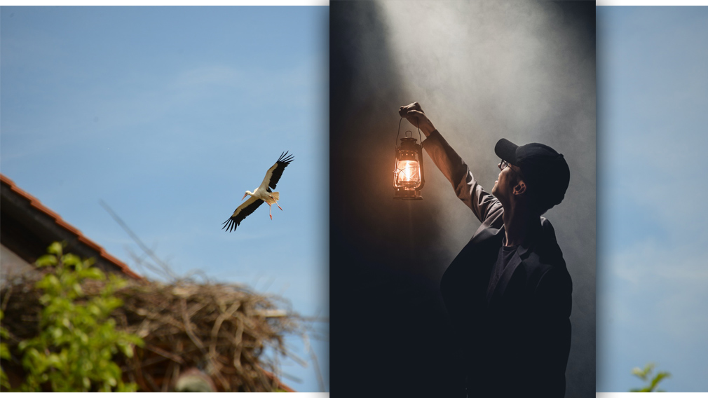 Rauchgefahr durch nistende Störche