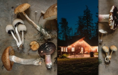 Grillgerichte mit Pilzen