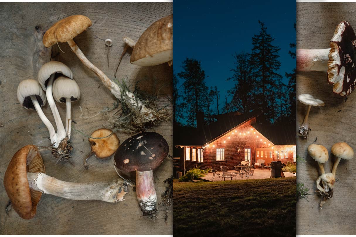 Grillgerichte mit Pilzen