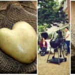 Collage Kartoffel in Herzform und Grillambiente im Hinterhof