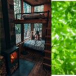 Titelbild Kaminofen: Klimakiller oder Klimaretter