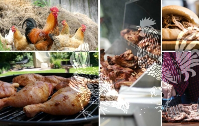 Titelbild_Pulled-Chicken_So-bereitest-du-das-gezupfte-Huehnchen-perfekt-auf-dem-Kugelgrill-zu