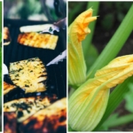 Zucchinipflanze und gegrillte Zucchini