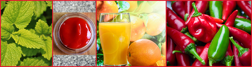 Zutatenliste für das erste Chilimarinaden-Rezept