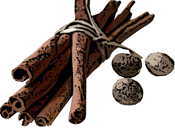 Illustration eines Bündels Zimtstangen und 3 Muskatnüssen