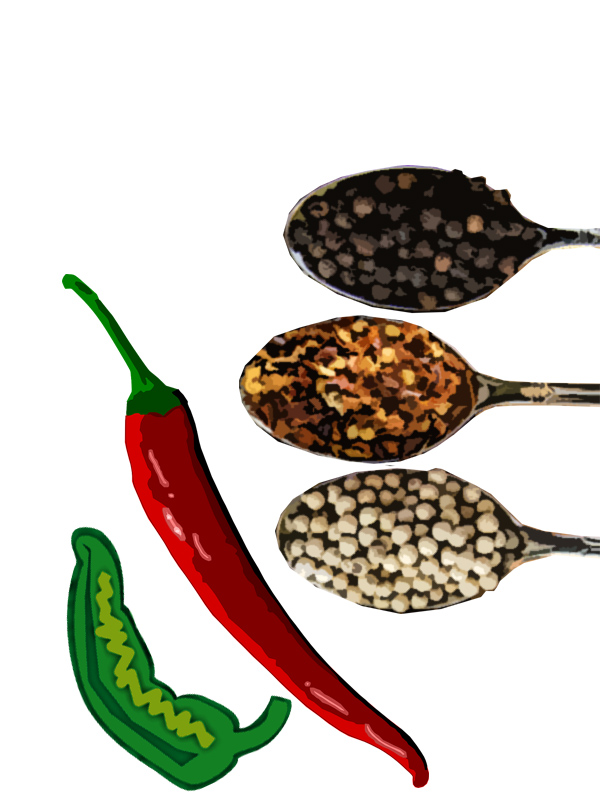 Illustration einiger Zutaten des Spicy Pork Rub