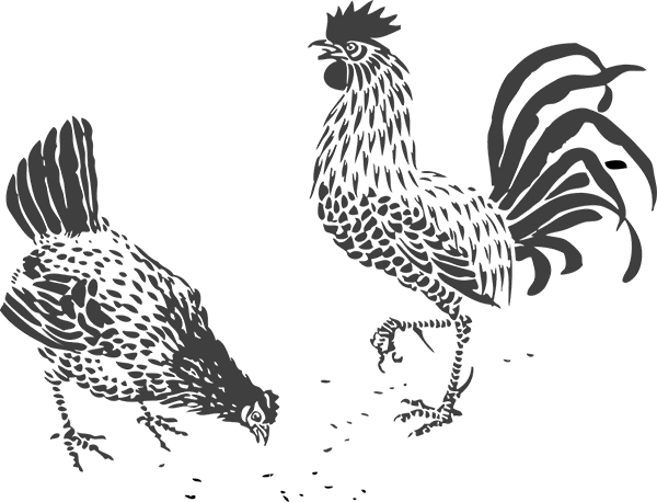 illustrierte Hühner