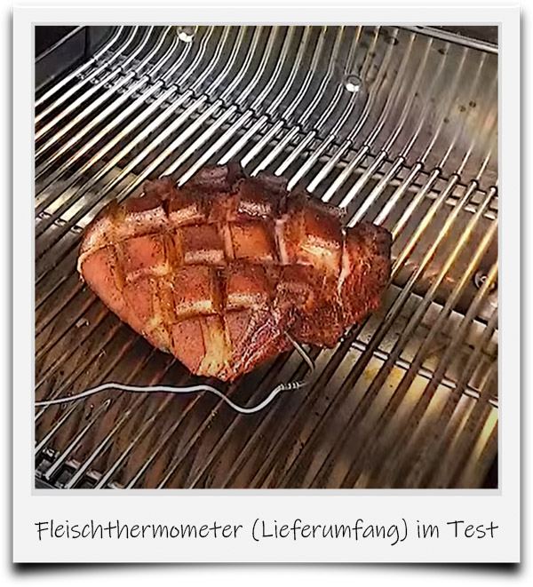 Bild von Fleisch mit Thermometer beim Louisiana Test