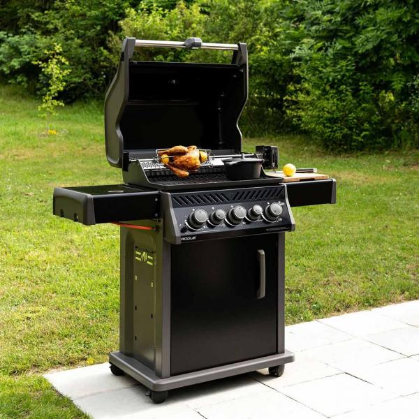 Beispiel für Napoleon Grill