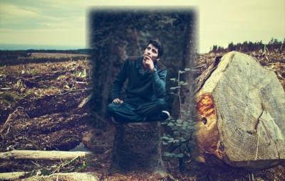 Titelbild zum Thema Totholz im Kamin verbrennen