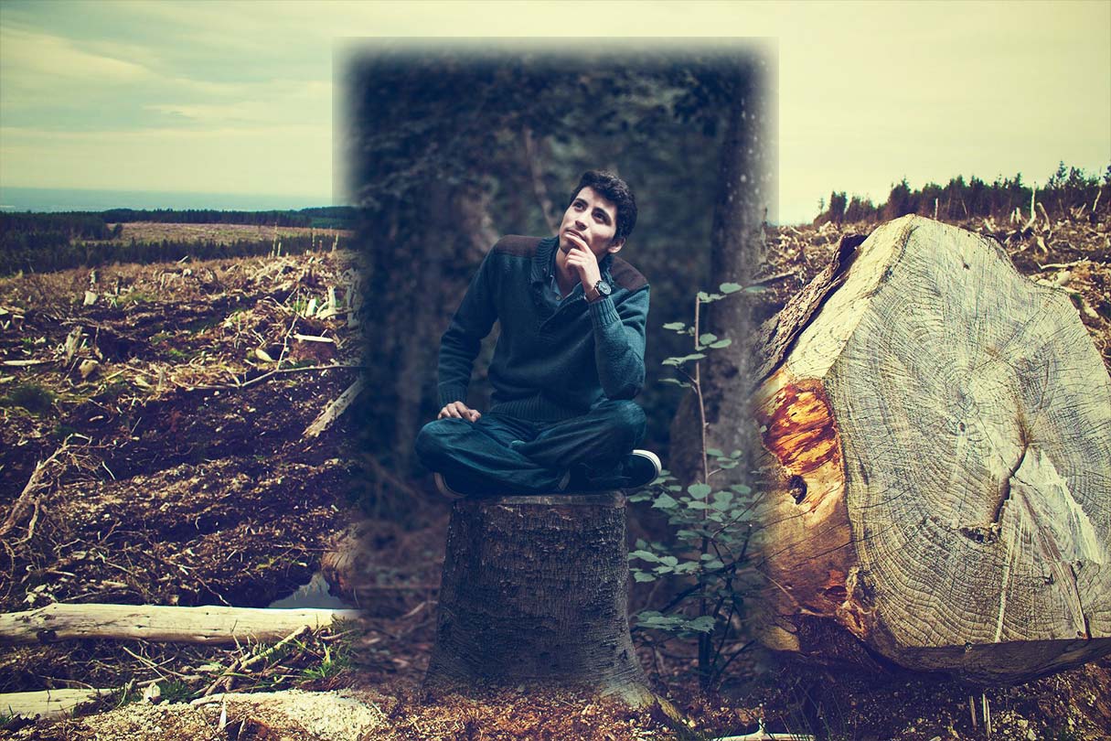 Titelbild zum Thema Totholz im Kamin verbrennen