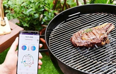 Titelbild Beitrag zum Thema wie man Fleischthermometer verwendet