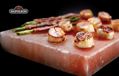 Titelbild zum Beitrag Mit dem Salzstein grillen