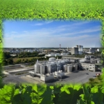 Titelbild für Beitrag zum Thema Fakten Bioethanol