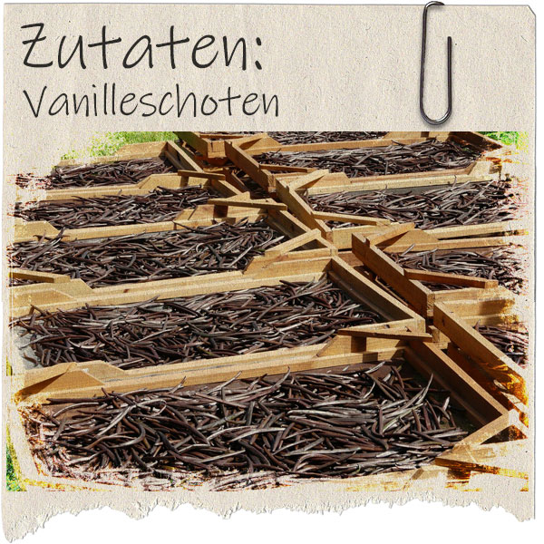 rausgerissenes Blatt Papier mit Foto von trocknenden Vanilleschoten 